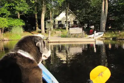 Image de Lakefront Cabin w \/ plage privée, Dock, Ac, 4 bateaux, sauna, chien amical! ! !