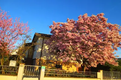 Image de Au coeur de l'Alsace, au calme dans un village rural.