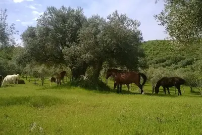 Image de maison d'hĂ´tes dans une ferme