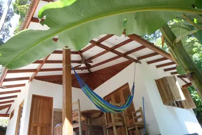 Image de Finca Ardilla, chambres d'hôtes de charme dans la jungle