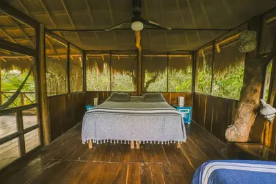 Image de Akumal, belle Palapa dans la jungle