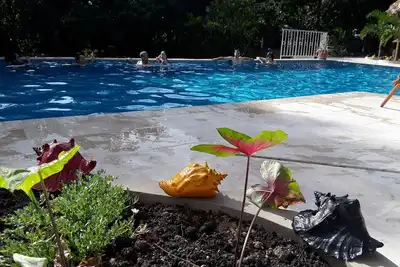 Image de L'Heliconia est un studio indépendant avec un balcon privé donnant sur la jungle.