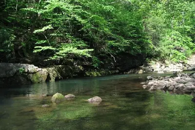 Image de Rainbow Chalet, une maison au bord de la rivière sur la rivière Savage près du lac Deep Creek