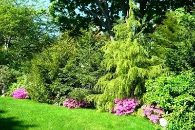 Image de * Prix spécial pour l'été * La vie est facile dans cette maison Sunny Village