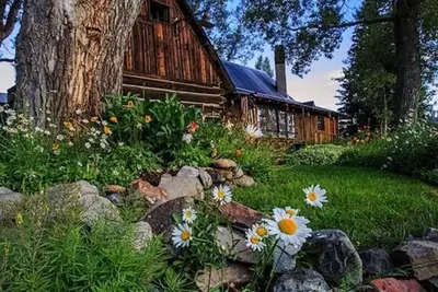 Image de Ice House: Demeure historique dans la ville de Cb! Très proche de Elk Ave! Dog friendly!