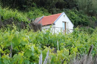 Image de Botte de foin - Famille Garcês