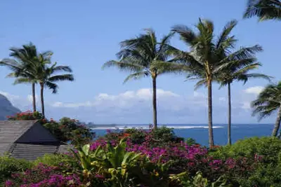Image de Découvrez l'île paradisiaque de la côte nord de Kauai au-dessus de la cime des arbres.
