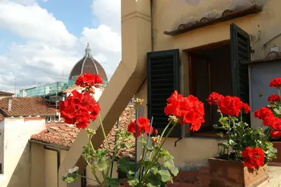 Image de Magnifique vue sur les toits de Florence