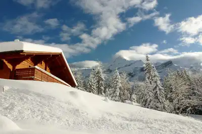 Image de Magnifique chalet ensoleillé, expose sud, grand confort, vue Glacier Diablerets
