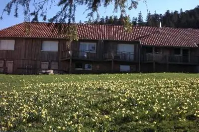 Image de Magnifique **duplex neuf, spacieux et grand confort en lisière de forêt