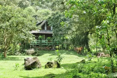 Image de Mindo Eco Chalet avec Riviere & Cascade