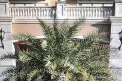 Image de Westgate Town Center Resort Luxury 2 Bedroom steps from Disney Worlds back door!