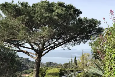 Image de Gigaro - Mas 2 chambres avec vue mer