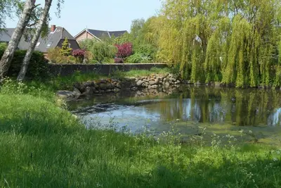Image de Appartement / app. pour 5 personnes à 60 m² à Fehmarn Ot Bisdorf (15983)
