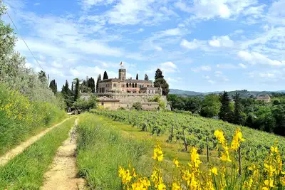 Image de Château entier au coeur de la Toscane. L'endroit idéal pour les mariages et les événements