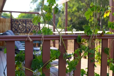 Image de Trentham East Country Retreat
