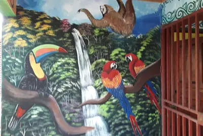 Image de Maison de vacances avec des peintures des Caraïbes