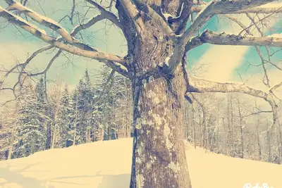 * Joli Studio Pour Les Amoureux De La Nature Pr 'Potokar *