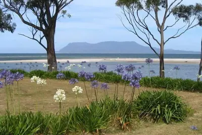 Image de Orford Beach House - Orford