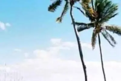 Image de Tropical Shores Condo Ocean View