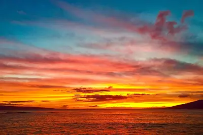 Image de Pohailani Gem! Cottage récemment rénové de 2 chambres sur 9 hectares tropicaux luxuriants!