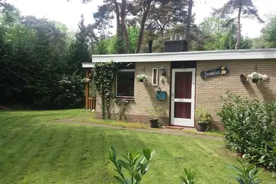 Image de Bungalow au coeur verdoyant d'Overijssel