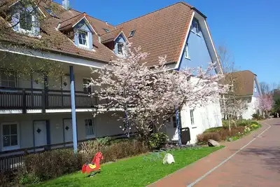 Image de Rez-de-chaussée dans l'appartement Fördeblick complexe