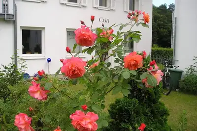 Image de Maison de vacances Carl (90 m² + terrasse) Ostseebad Zinnowitz on Usedom