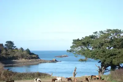 Image de lezardrieux appart. 4\/5 pers. bord de mer+jardinet