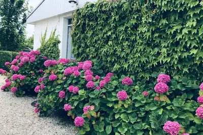 Image de Maison familiale, avec jardin à Cabourg.