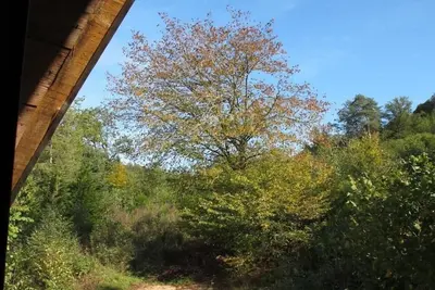 Image de Gite de la Serrée en Morvan