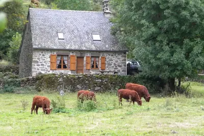 Image de Maison 15380 Saint-Vincent de Salers