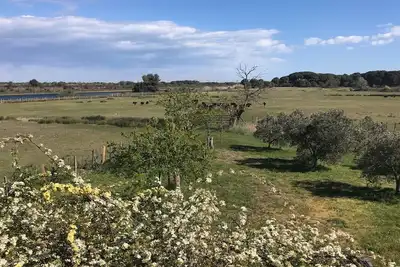 Image de Spacieux duplex dans mas, en zone naturelle protégée proche des plages