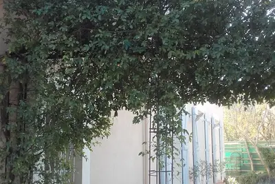 Image de Magnifique villa Provencale avec piscine