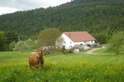 Image de Hébergement en pleine nature entre forêts et prairies