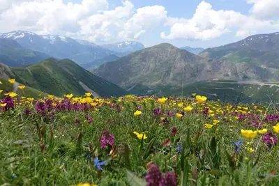 Image de Maison de village de 110m² entièrement rénovée - Besse en Oisans