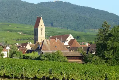 Image de Appartement 3 pièces 2\/5 personnes en lisière de vignoble