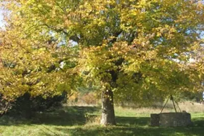 Image de Bergerie des Marquisans -  5 personnes, en pleine nature, à 2 km d'Aurel.