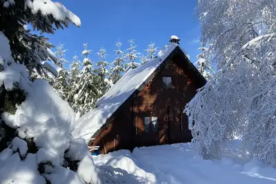Image de Chalet 70 m2 - 6 Pers - proche Mont Dore\/Super Besse - 1000 m2 clos - Wi-Fi
