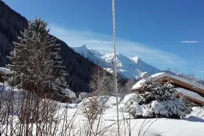 Image de Confortable Spacieux 65 m², Jardin, Vue Mont Blanc, Proche Grands Montets, .
