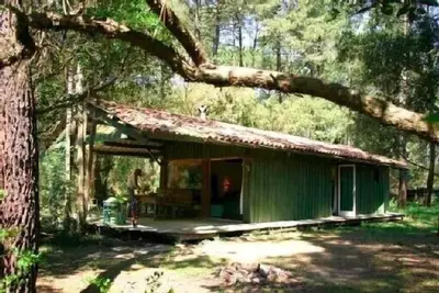 Image de Promo juillet Maison bois au coeur de la forêt landaise près du Lac d'Hossegor