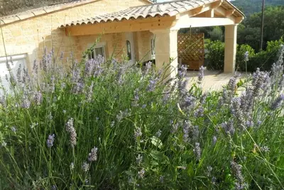 Image de Idyllique Mas Provencal Tout Confort Avec Piscine Et Terrasse Privative