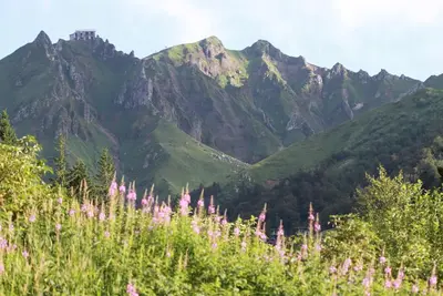 Image de Studio 21m2 hiver\/été pleine nature pour 4p au Puy Sancy (3mn centre Mont Dore)