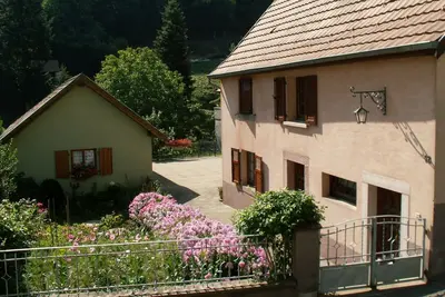 Image de Maison individuelle rénovée avec vue sur la forêt