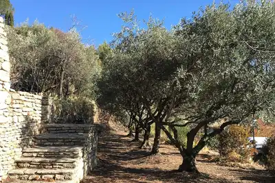 Image de Location Maison Bonnieux Luberon Provence