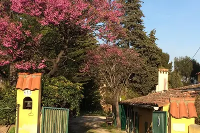 Image de Belle propriété familiale 150 m2, sur hauteur du centre ville de Sanary