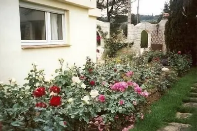 Image de ***Studio climatisé a la campagne à 3 km des plages de Sanary ***