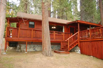 Image de 8 Nid de Nugent dans le parc national de Yosemite