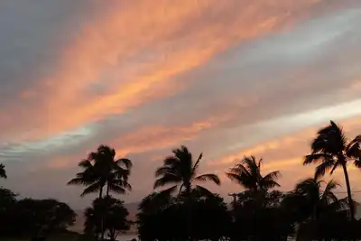 Image de Condo confortable au dernier étage de Maui Parkshore