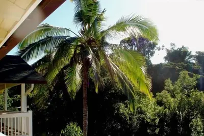 Image de Bamboo Valley Inn 2br \/ 1ba Autorisé